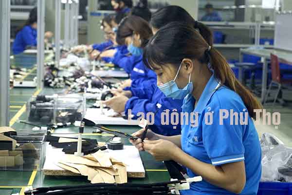 Ở Phú Thọ muốn đi xuất khẩu lao động Ba Lan