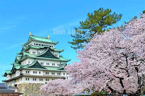 Aichi Nhật Bản Aichi Nhật Bản