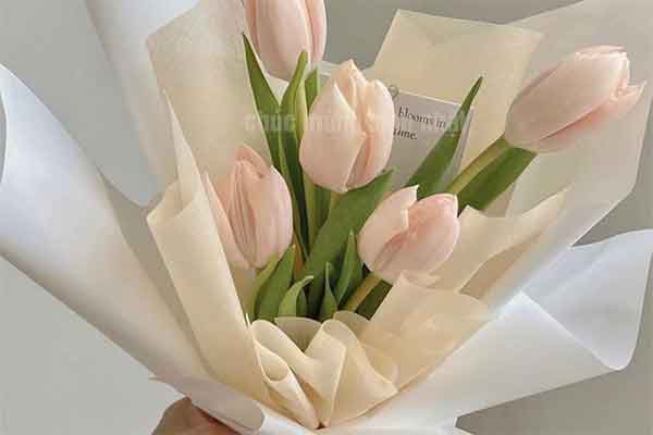 chúc mừng sinh nhật chị gái